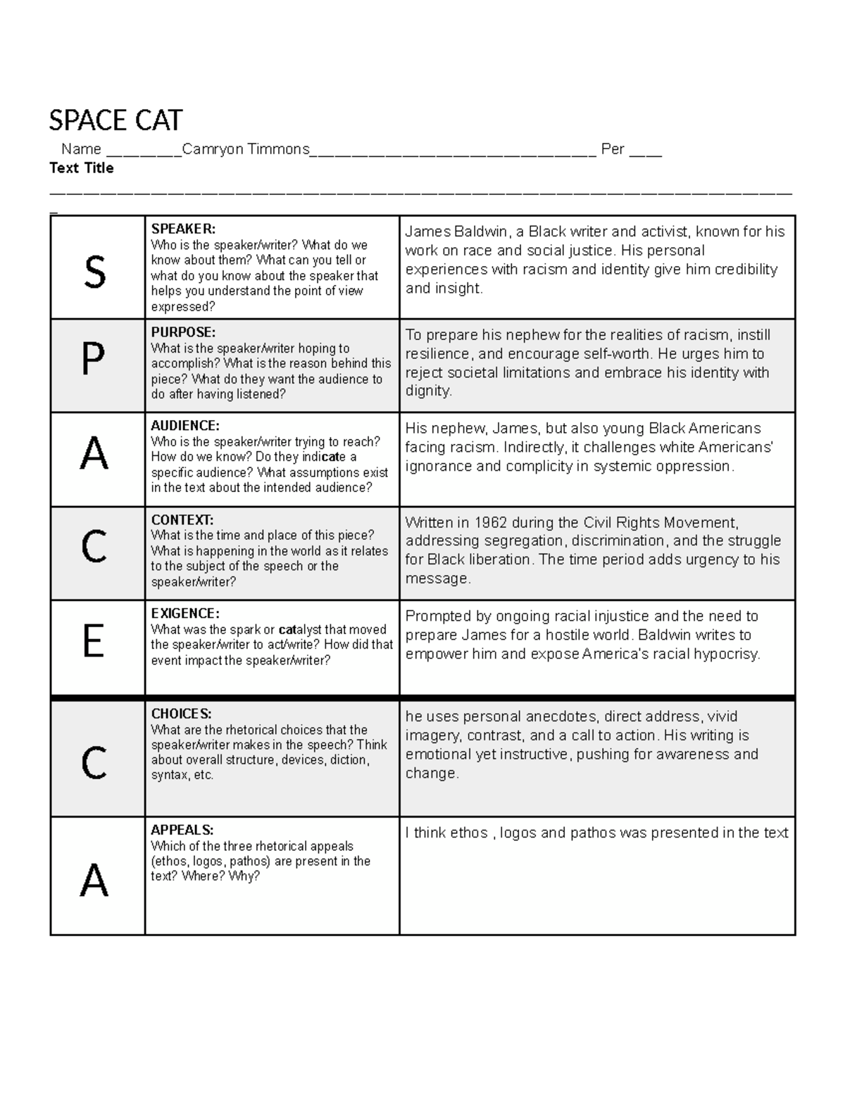 Spacecat Worksheet - ddjj - SPACE CAT Name Camryon Timmons ...