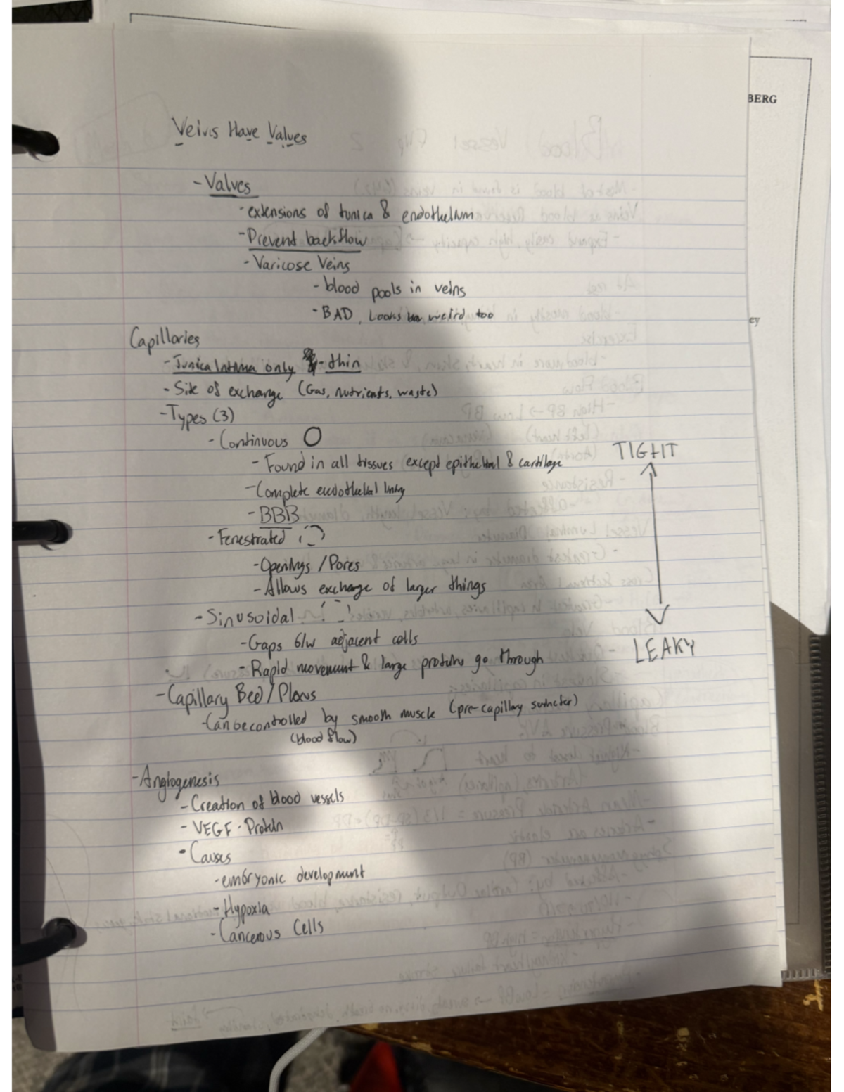 IMG_0346 - Visual Study Guide Notes for Midterm Exam - BERG Veivis Have ...