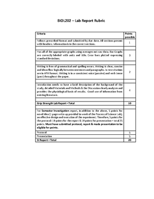 Cultural Artifact Paper - Example 2 - Professor Jesse Draper HUMS 215 ...