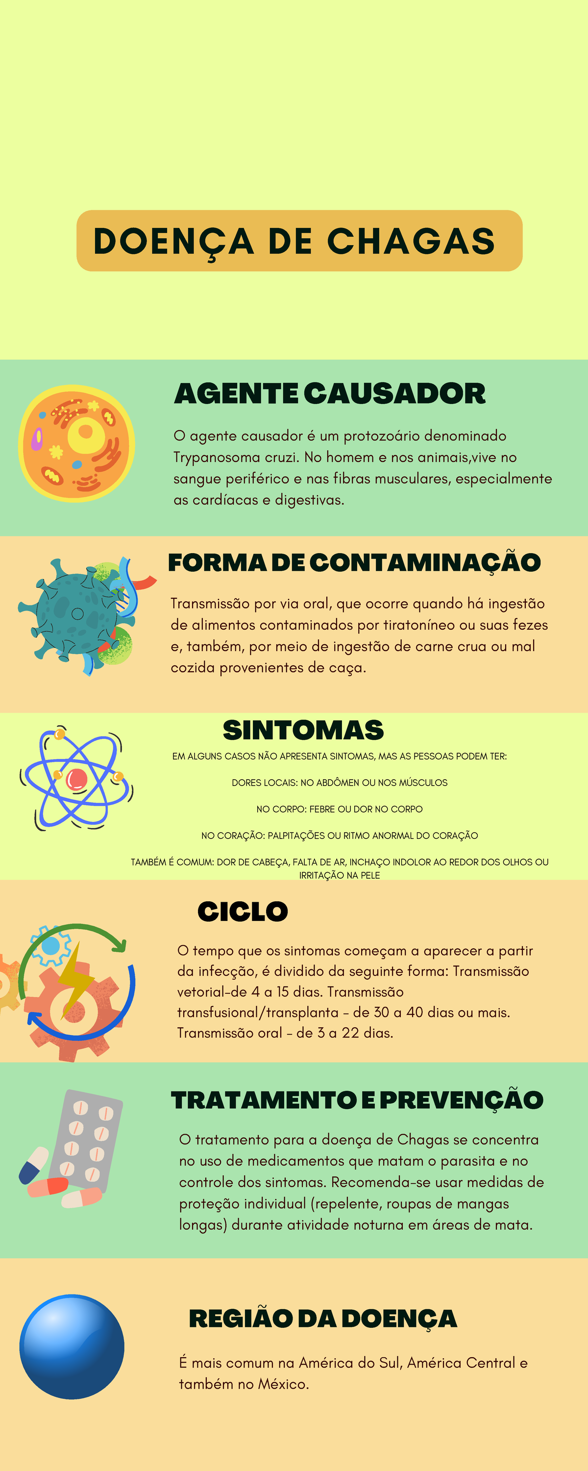 Doença de Chagas - DOENÇA DE CHAGAS AGENTE CAUSADOR O agente causador é ...