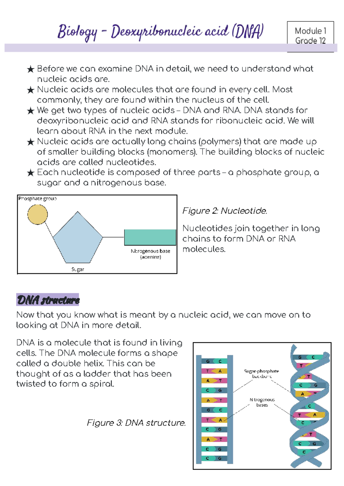 DNA Structure and Function: Notes for Life Science Grade 12 SA - Studocu