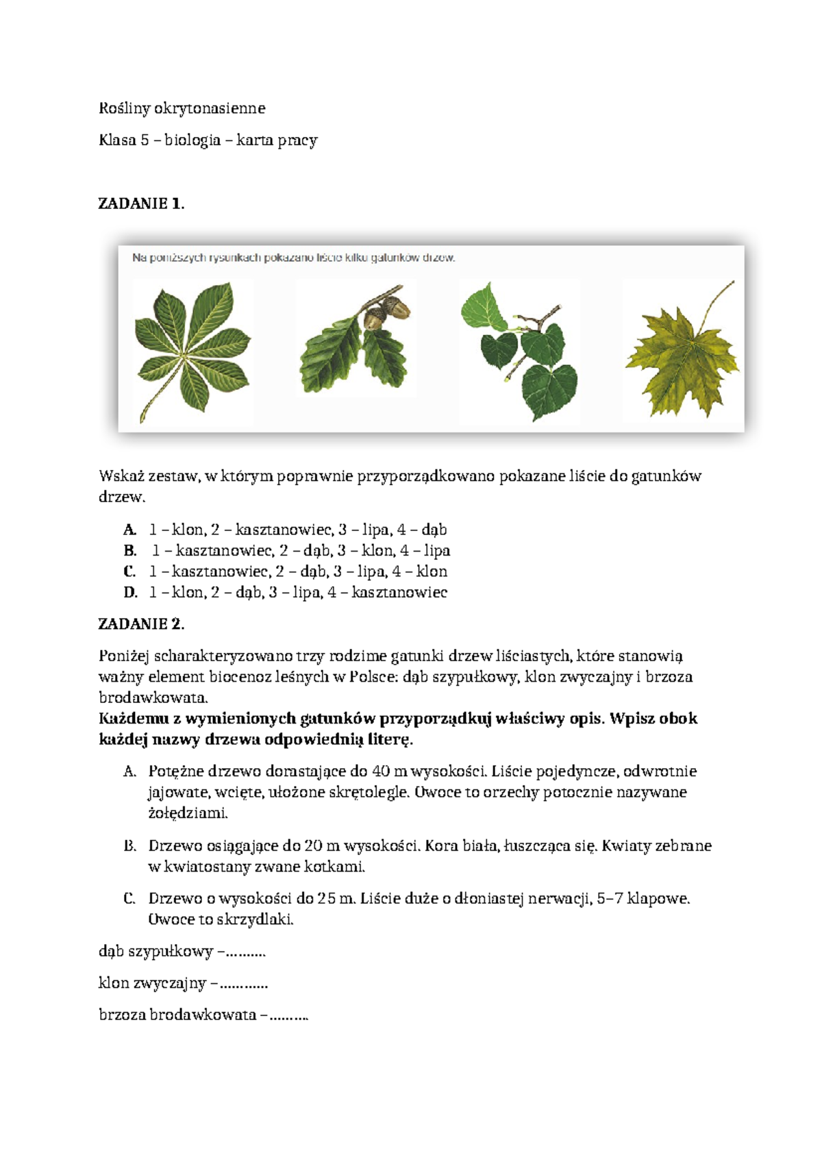 Klasa 5 Biologia: Karta Pracy - Rośliny Okrytonasienne - Studocu