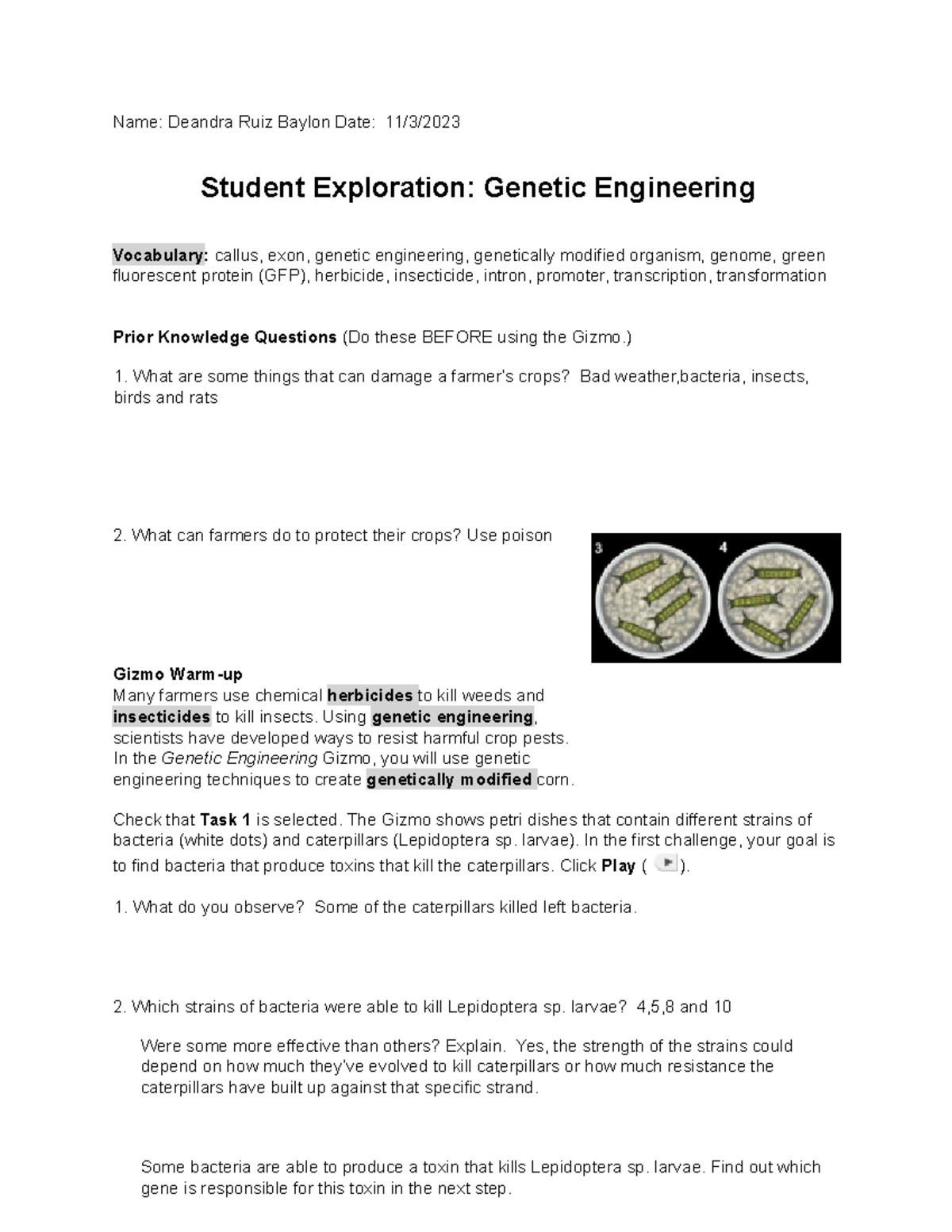 Exploration of Genetic Engineering Techniques SE-2 Worksheet - Studocu