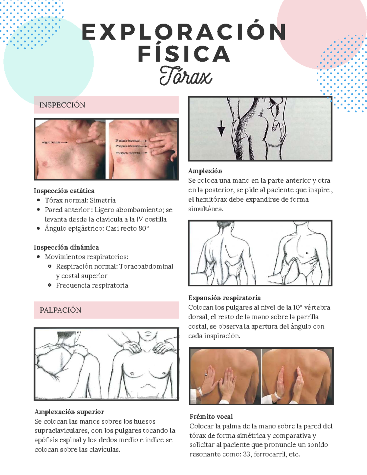 Exploración Física del Tórax: Inspección y Auscultación - Studocu