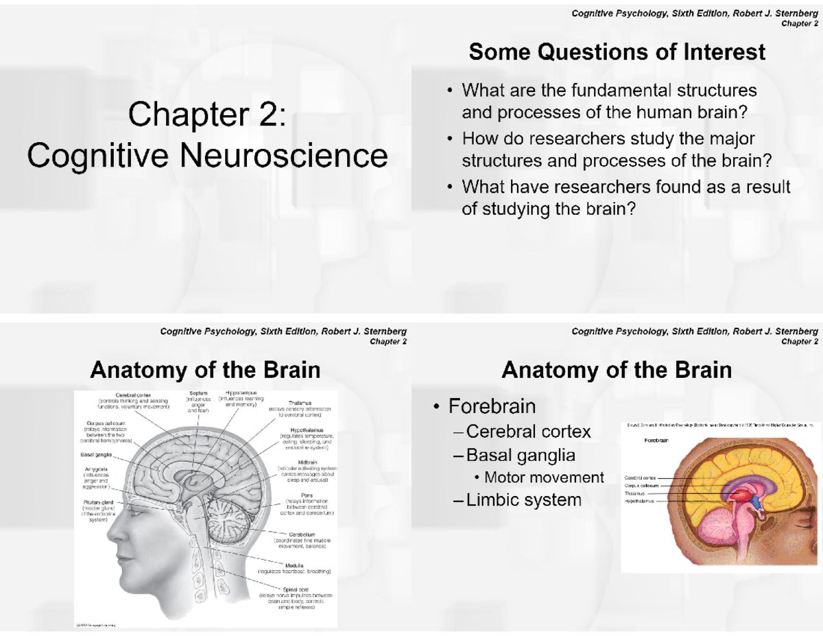 Cognitive Psychology, Sixth Edition, Robert J. Sternberg Chapter 2 (ppt