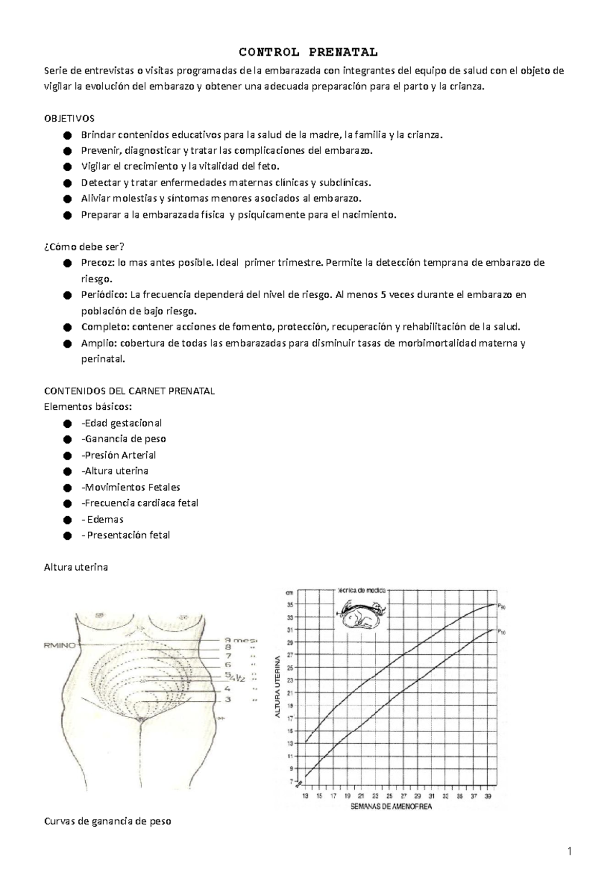 Control Prenatal: Objetivos, Contenidos y Riesgos del Embarazo - Document Preview