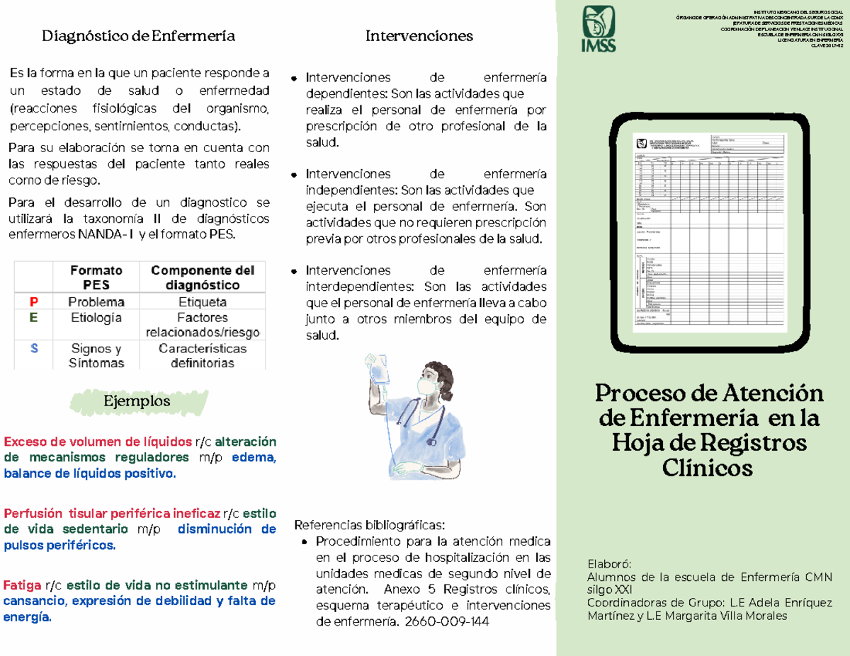 Tríptico hoja de registros clinicos enfermeria - Ejemplos Es la forma
