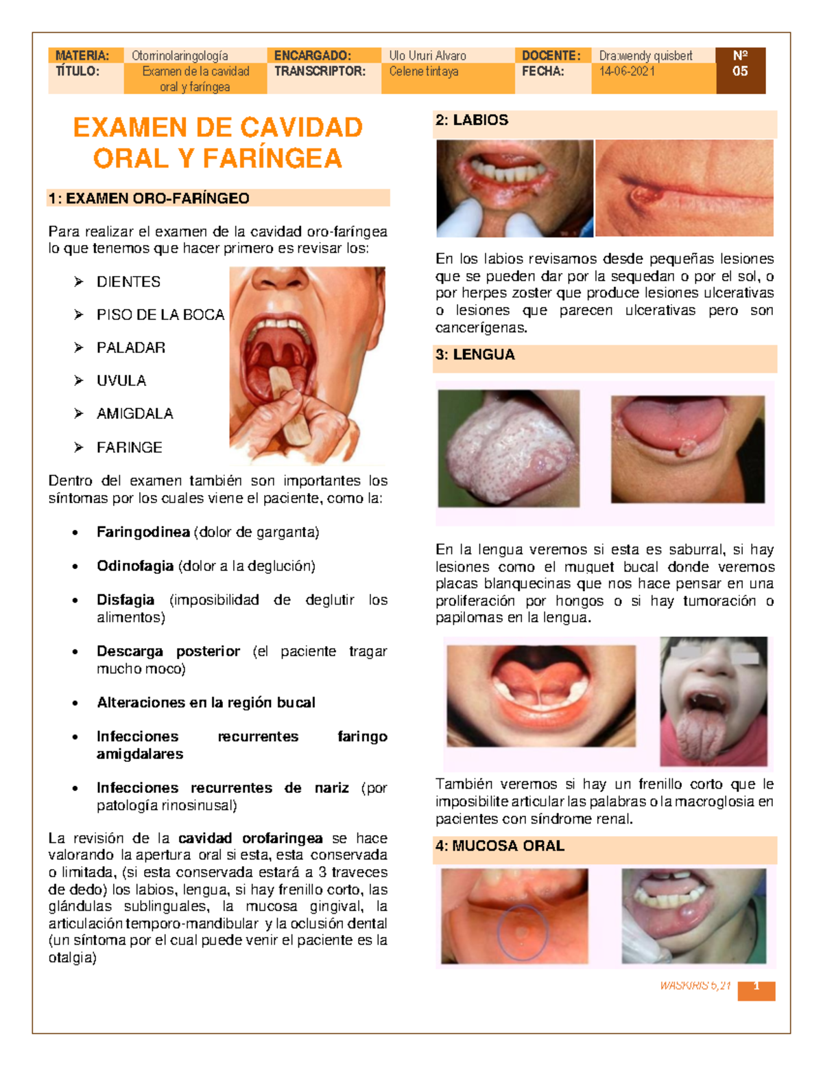 Examen de Cavidad Oral y Faríngea - Detalles y Diagnósticos - Studocu