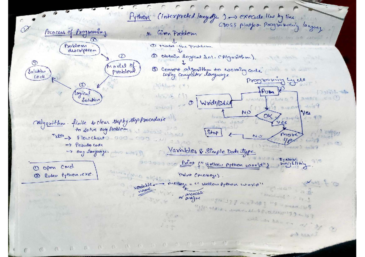 Python Programming Concepts: Algorithms, Data Types, and Functions ...