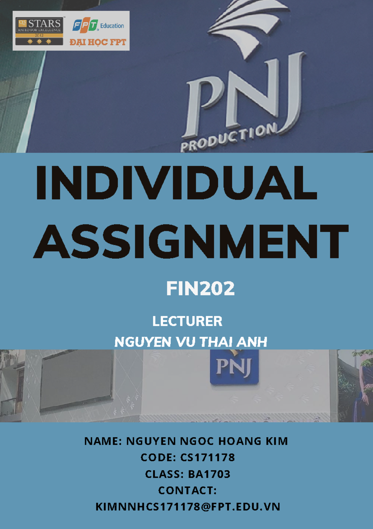 FIN202 IB1703 Individual Assignment: Financial Analysis of PNJ - Studocu