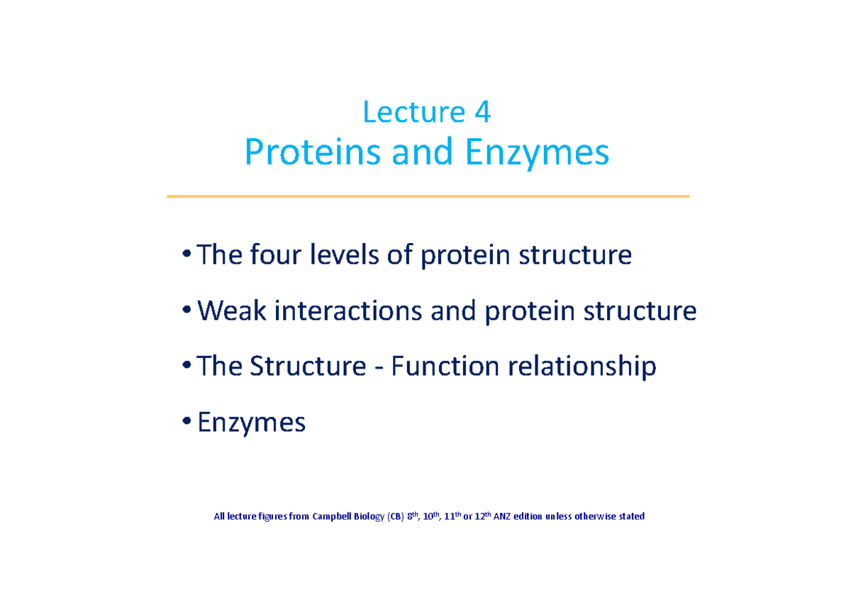 L4 HO Proteins and Enzymes - Lecture Notes on Structure and Function ...