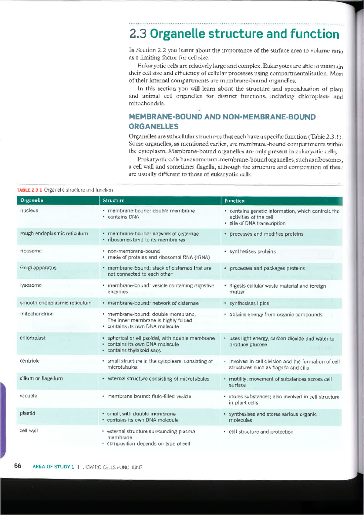 Chapter 2.3: Organelle Structure and Function in Eukaryotic Cells - Studocu