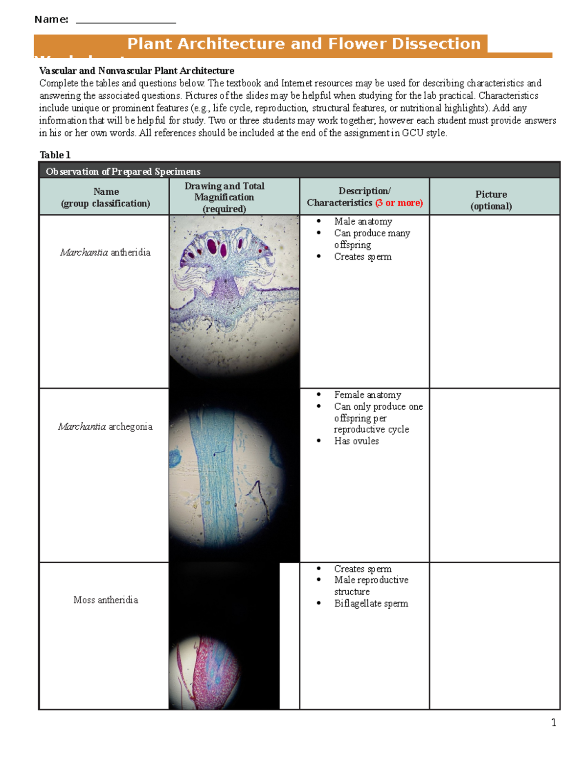 Plant Architecture & Flower Dissection Worksheet (Biol 101) - Studocu