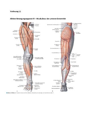 Periphere Räume - Zusammenfassung des Moduls vom Wintersemester 2019/ ...