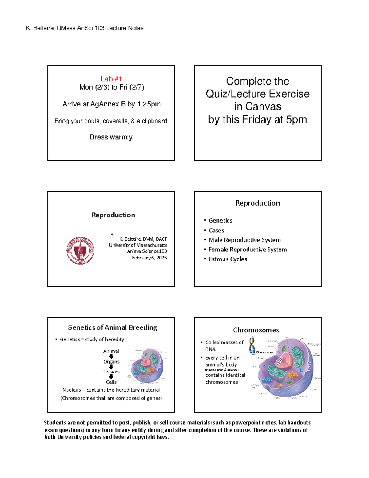 Reproductive Systems and Genetic Considerations in UMass ANSci 103 ...