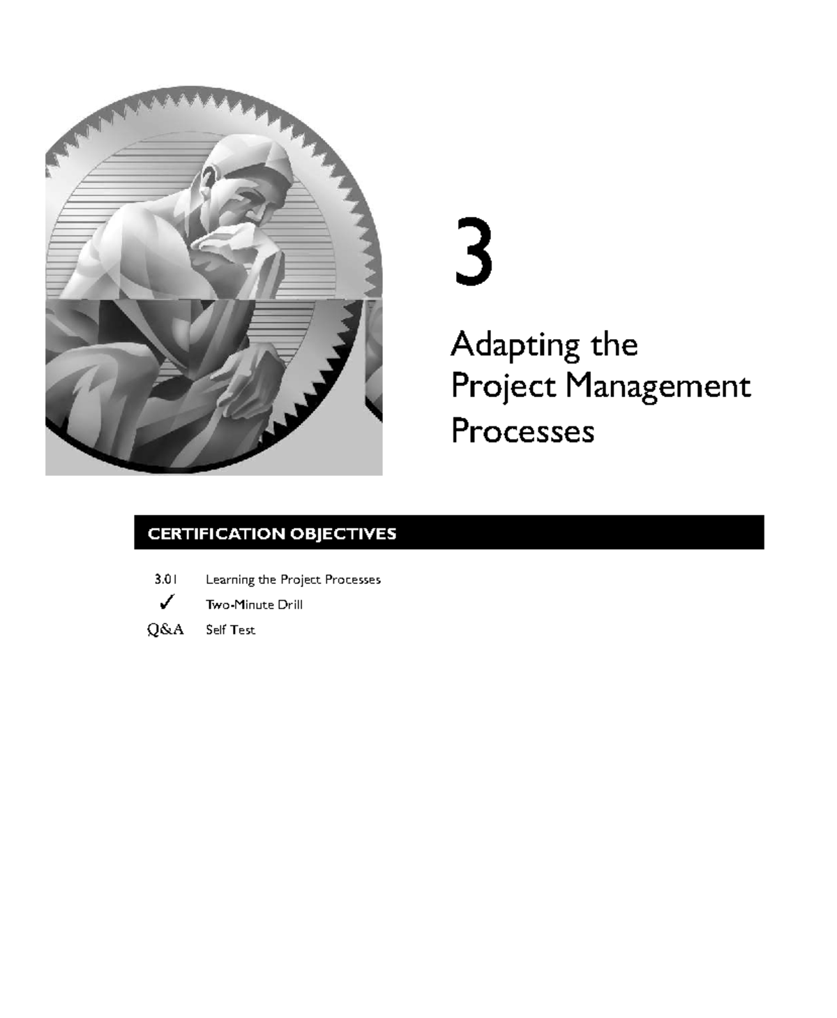 PMP 3: Adapting Project Management Processes for Certification Exam ...