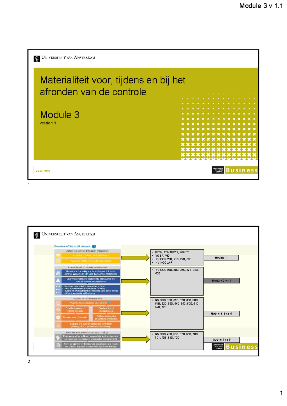 Module 3 v 1.1 Materialiteit in de Controle: Toepassing en Evaluatie ...