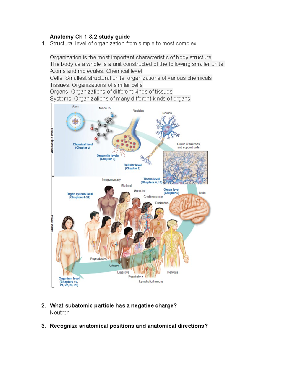 Anatomy Ch1 and 2 Review - Anatomy Ch 1 & 2 study guide Structural ...