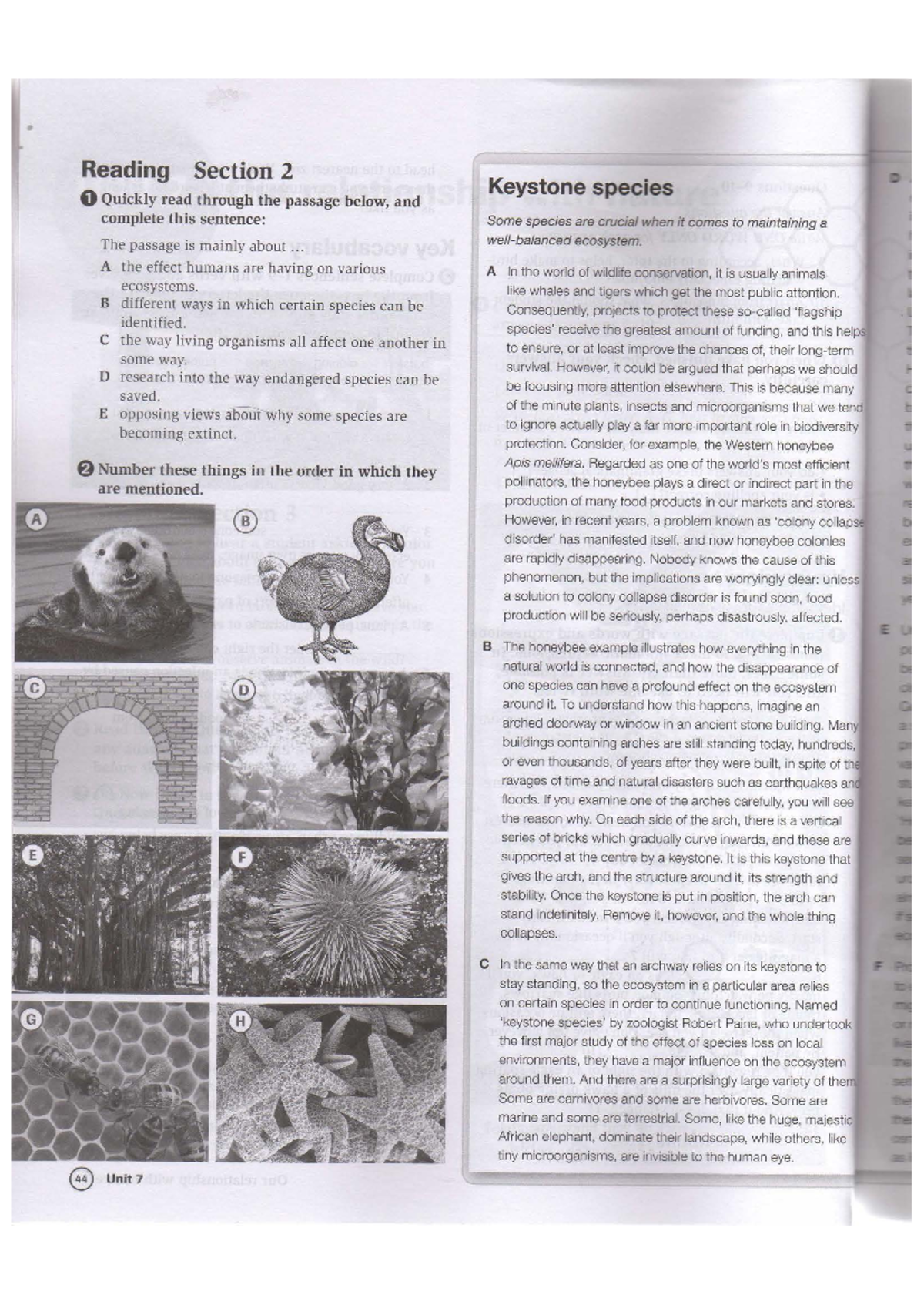 Keystone Species: Understanding Their Role in Ecosystems (Course Code ...