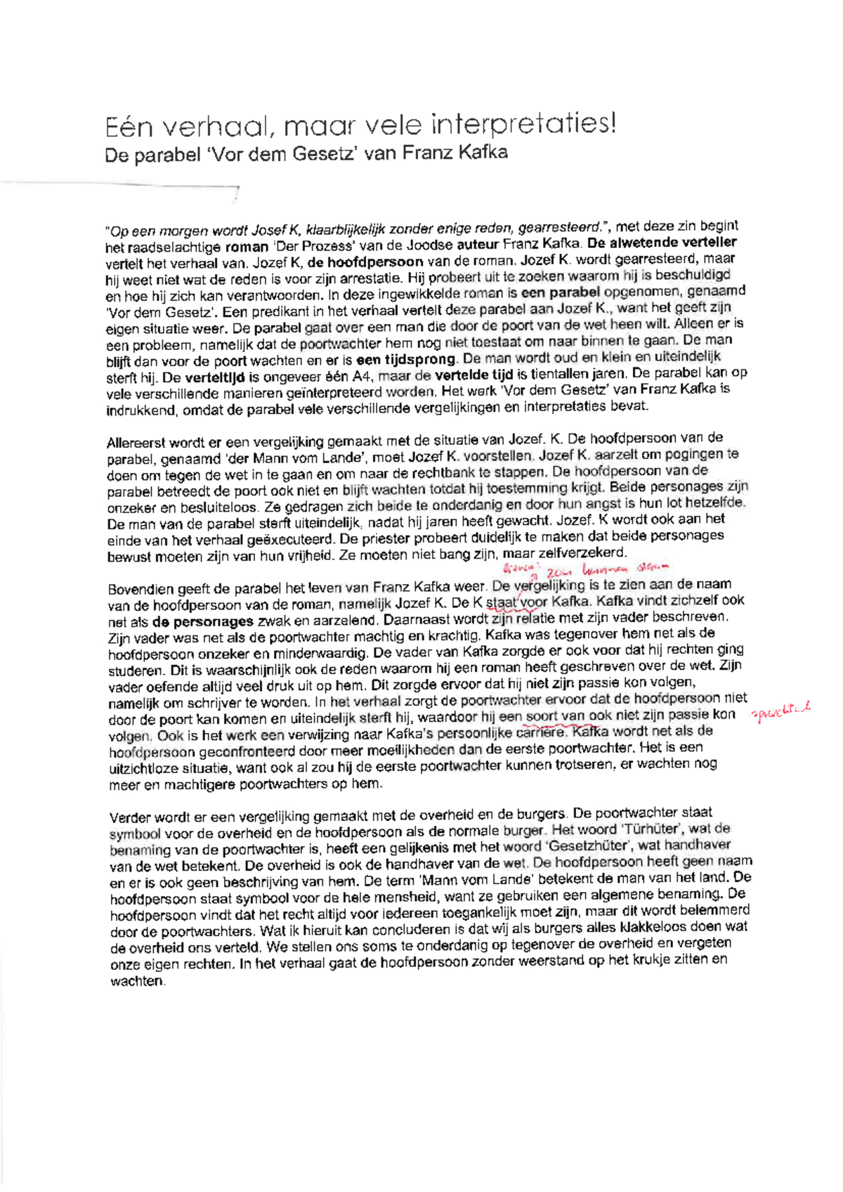 Essay Writing Example 1 for Dutch Language Course - Studeersnel