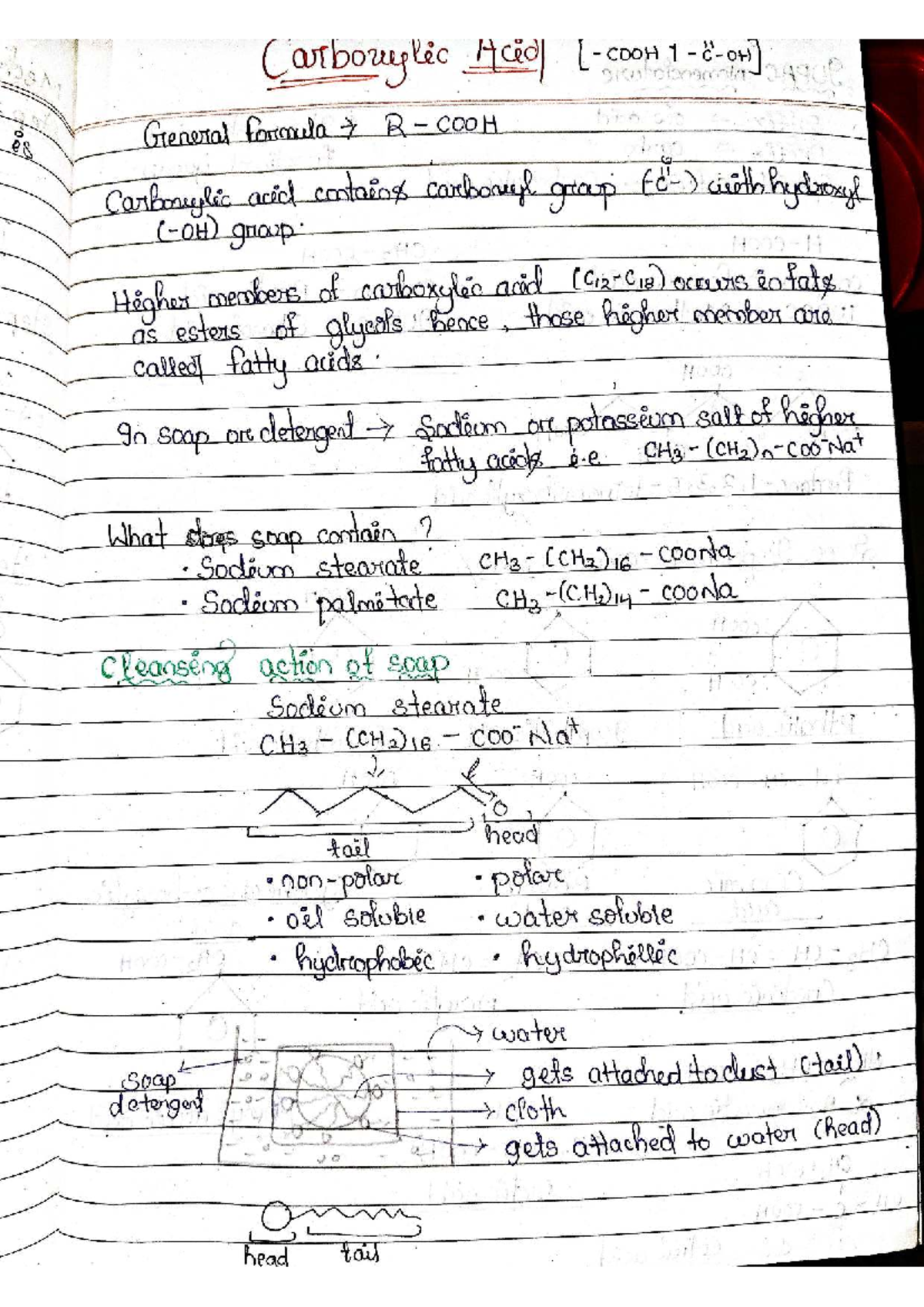 Carboxylic Acid Notes - CHM101 Lecture Summary and Key Concepts - Studocu