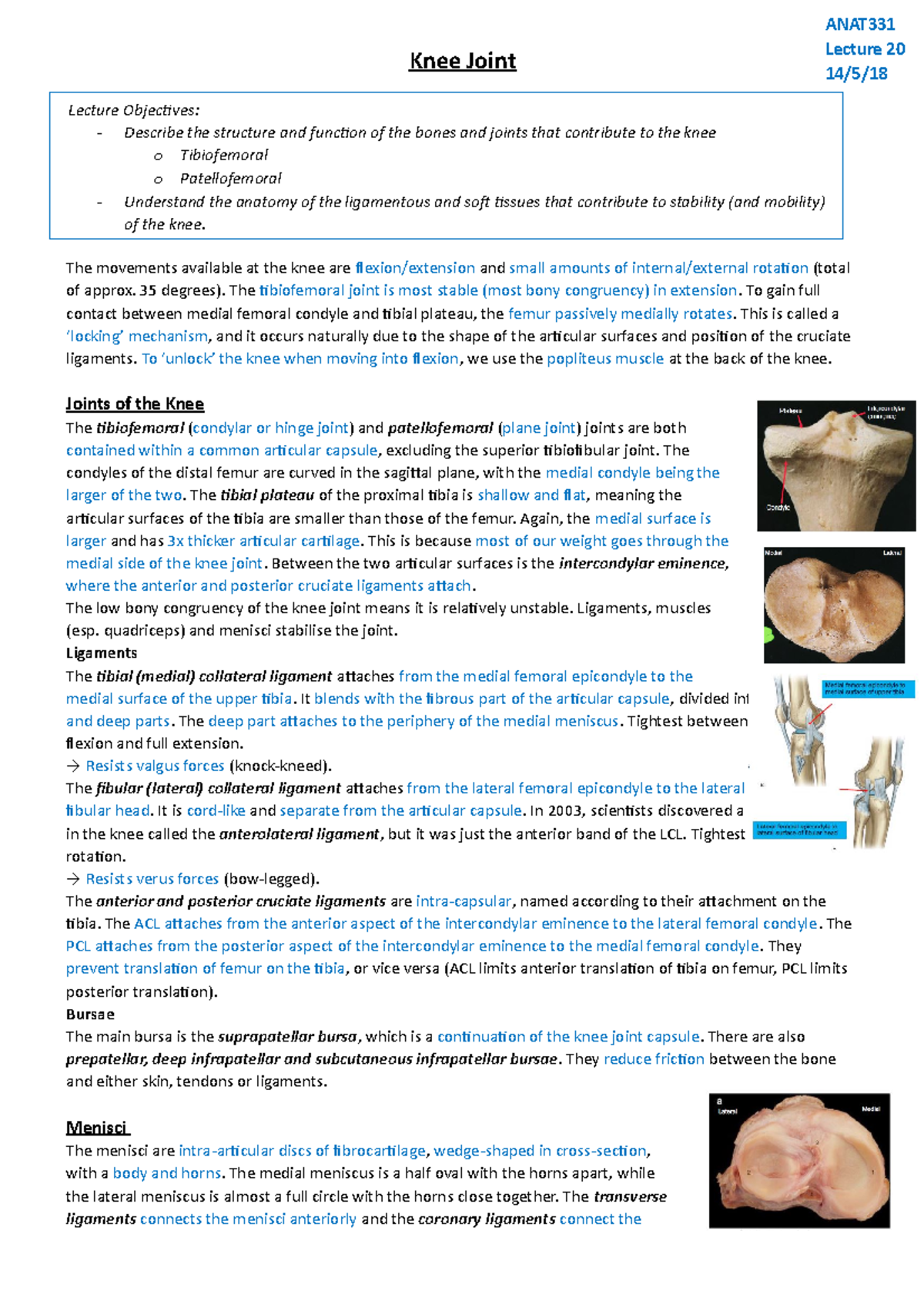 Lecture 20 - Anatomy and Function of the Knee Joint - Studocu