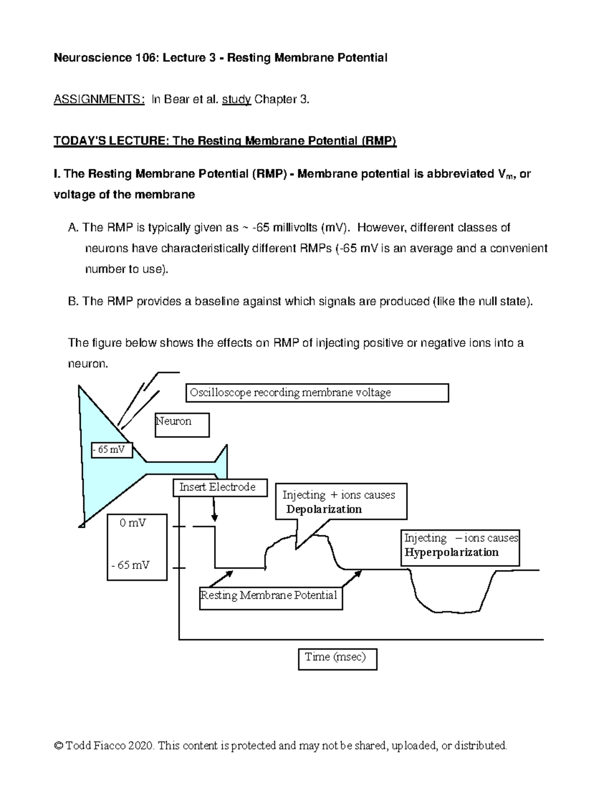 Neuroscience 106: Lecture 3 Notes on Resting Membrane Potential - Studocu
