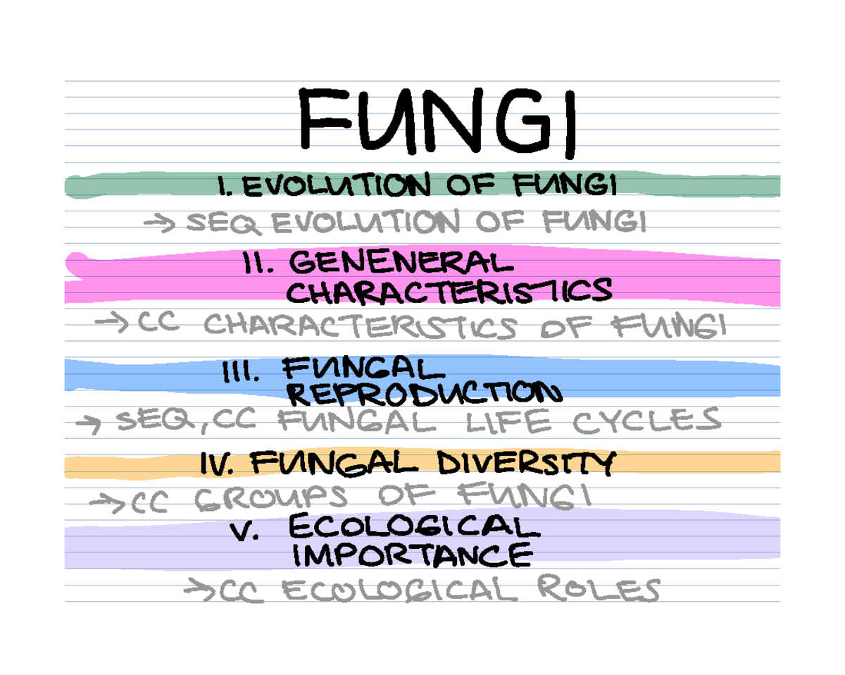 L4 Fungi - Evolution, Characteristics, and Reproductive Structures ...