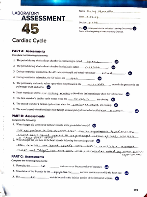 BI231: Final Exam Review on CNS, Cranial Nerves & Spinal Anatomy - CNS ...