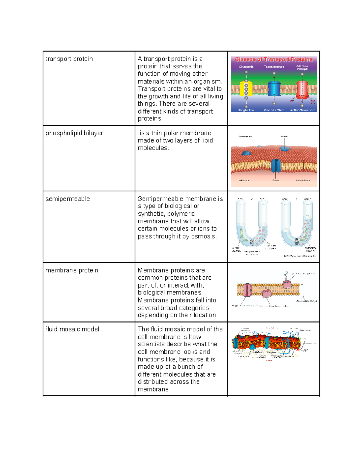 Bio Vocabulary Unit 5: Key Terms for Jeff Edwards (End of Unit 3) - Studocu