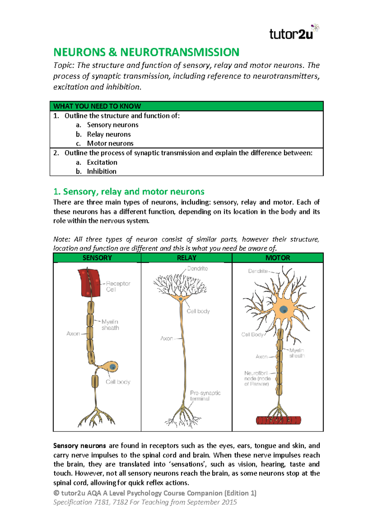 Diagram Of Sensory Relay And Motor Neurons