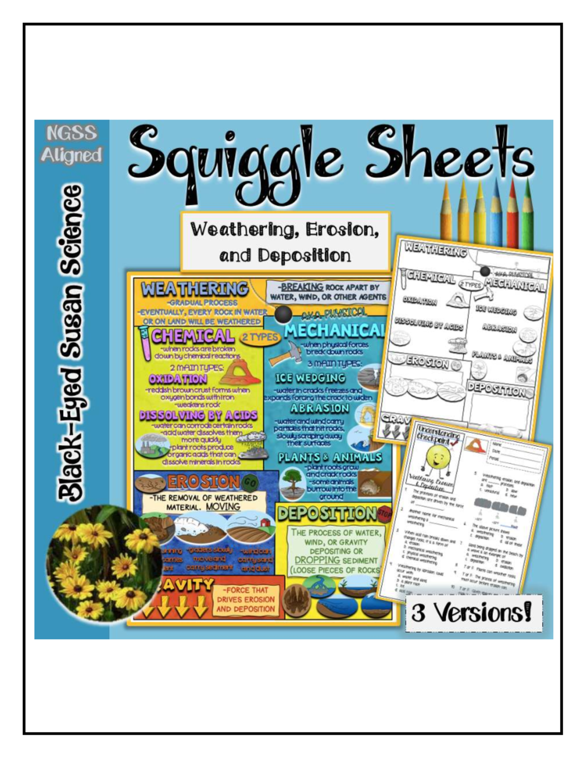 07 - Weathering, Erosion, and Deposition: Doodle Notes & Quiz - Studocu