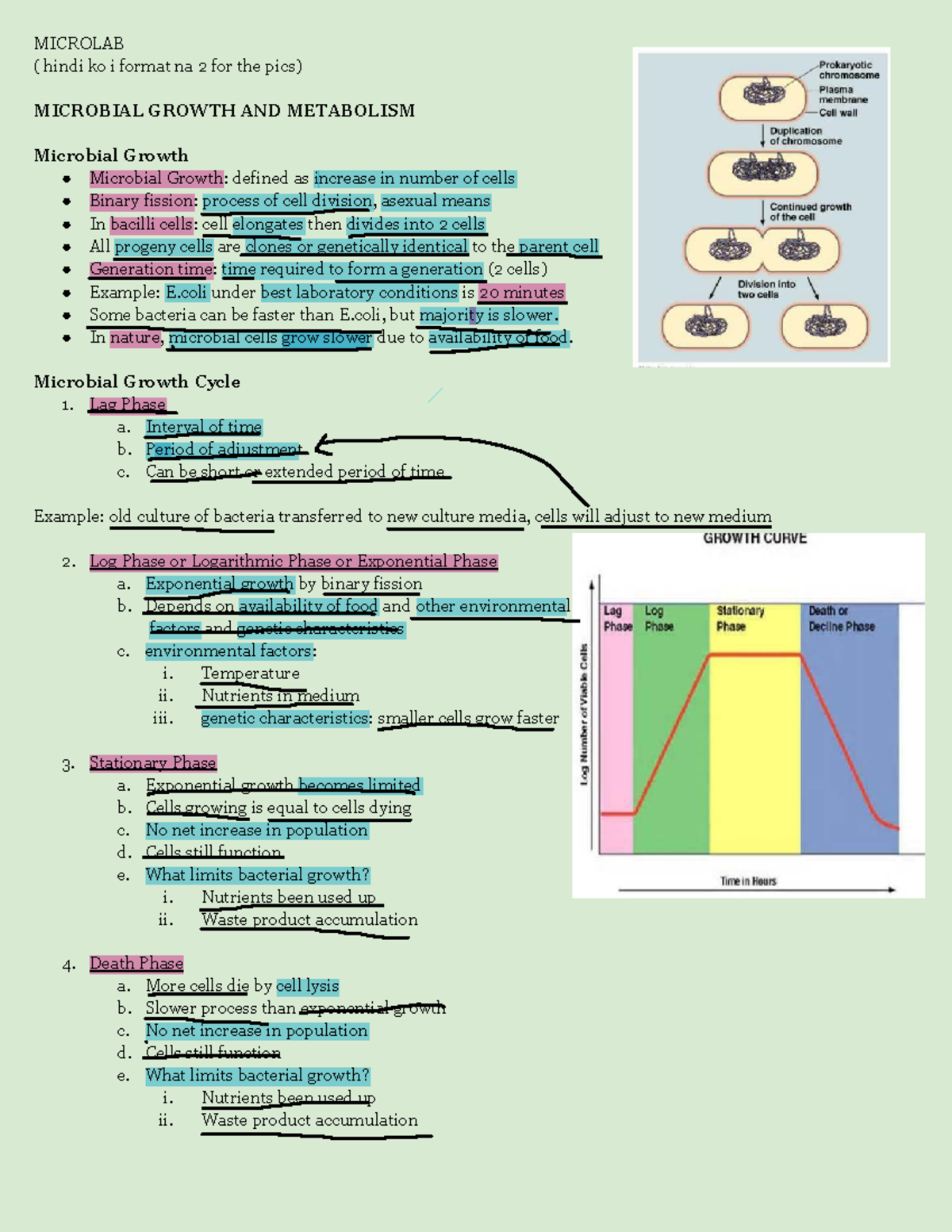 Microlab Midterm Study: Microbial Growth and Metabolism Overview - Studocu