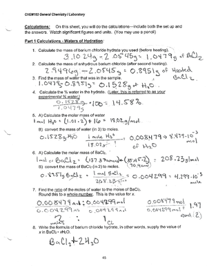 Chemlab 8 H2O2 - given - CHEM103 General Chemistry I Laboratory ...