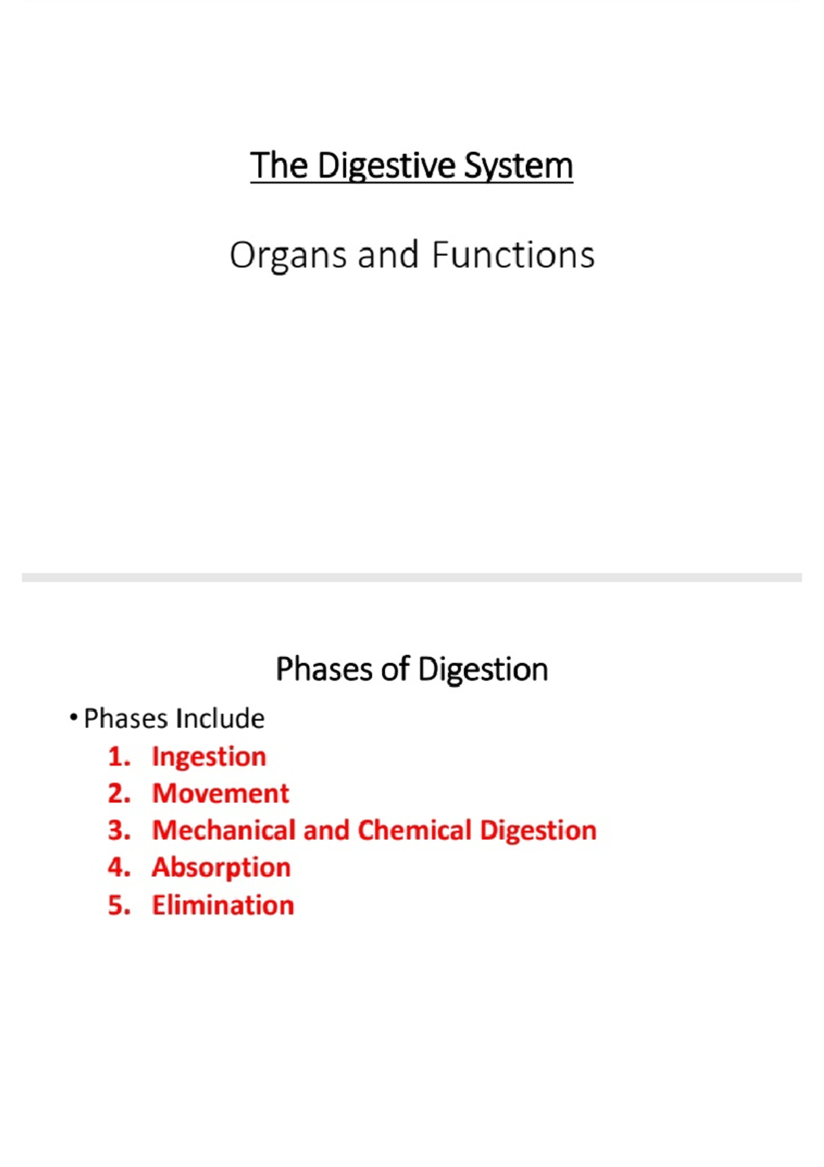 Digestive System: Key Organs and Their Functions Explained - Studocu