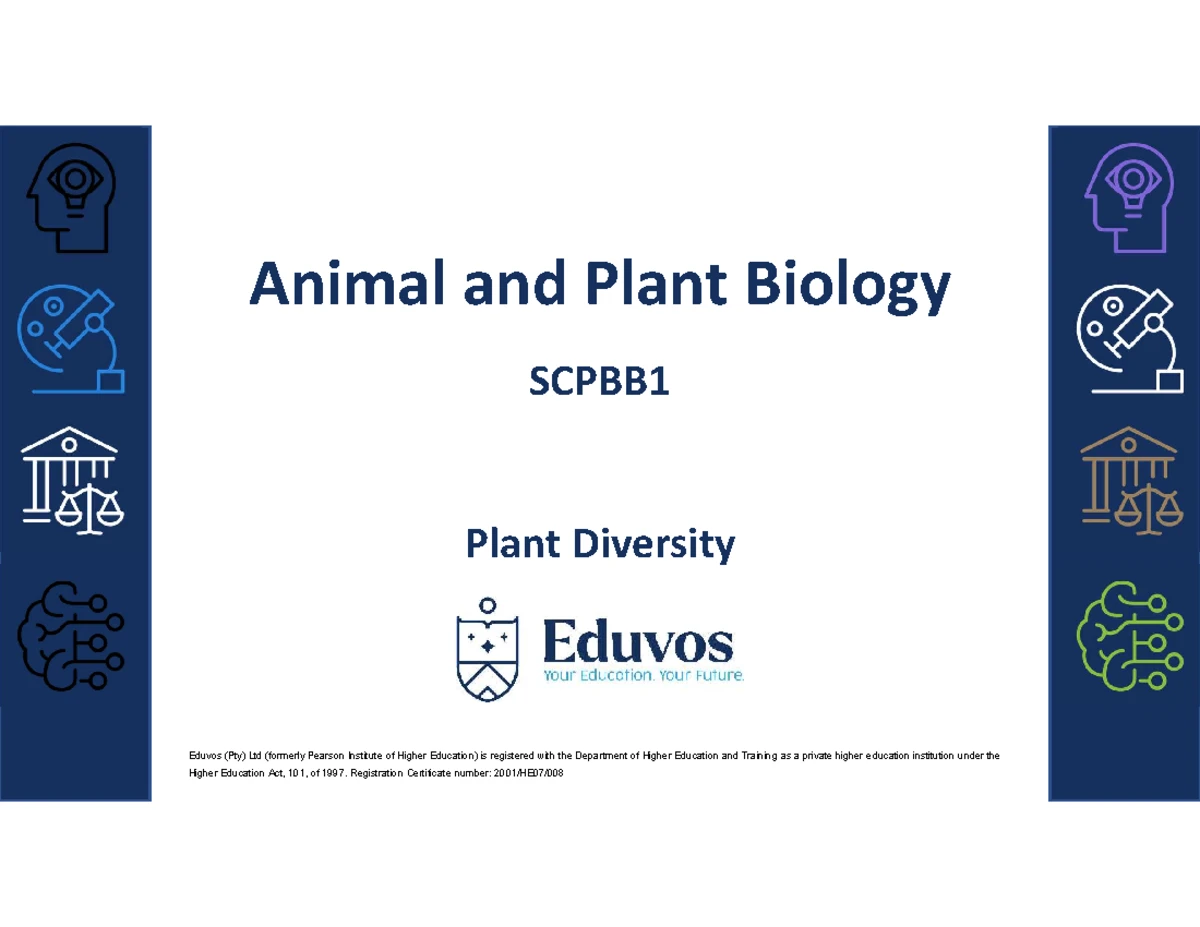SCPBB1 Week 2: Overview of Animal Diversity and Development - Studocu