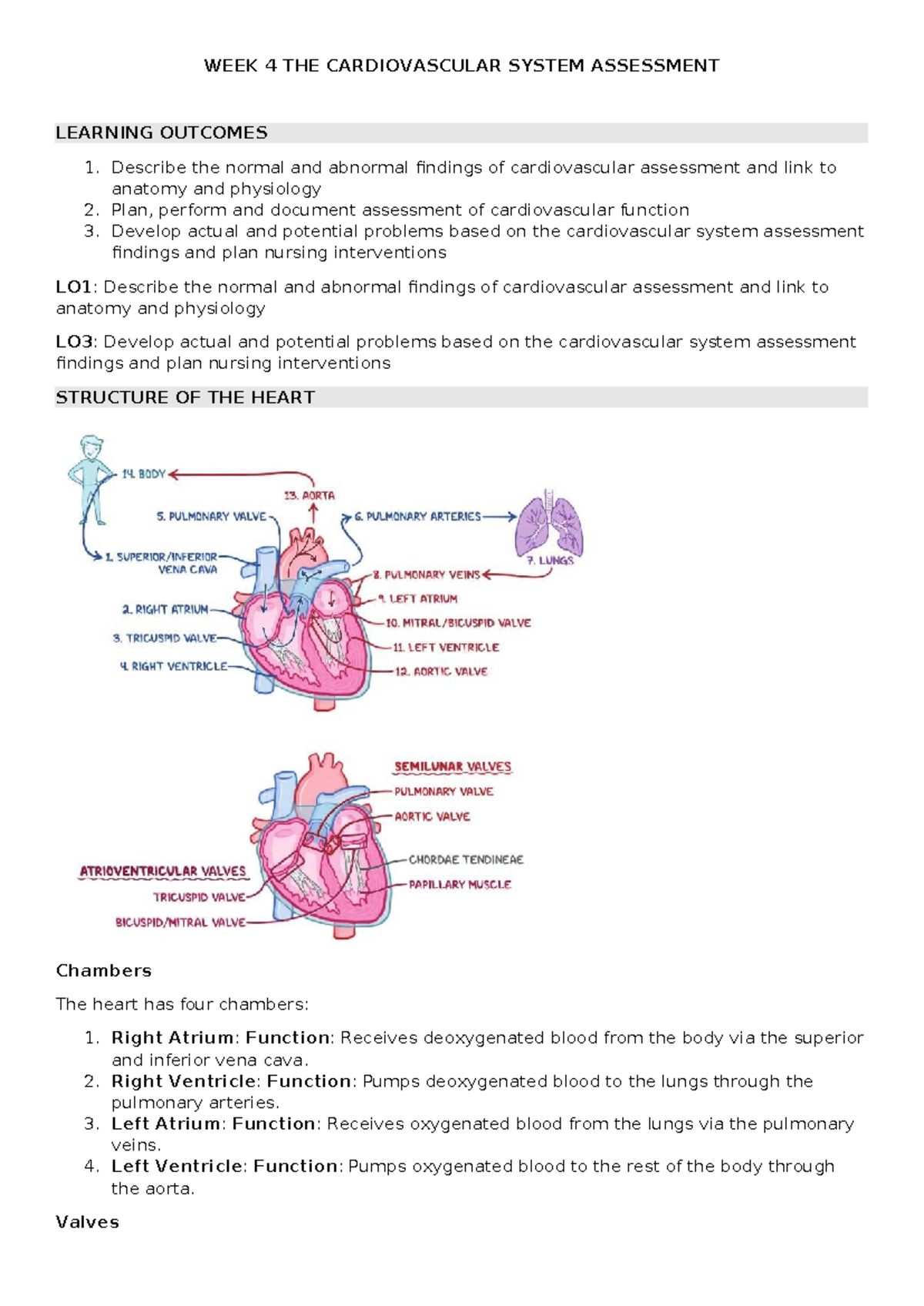 WEEK 4: Cardiovascular System Assessment & Nursing Interventions - Studocu