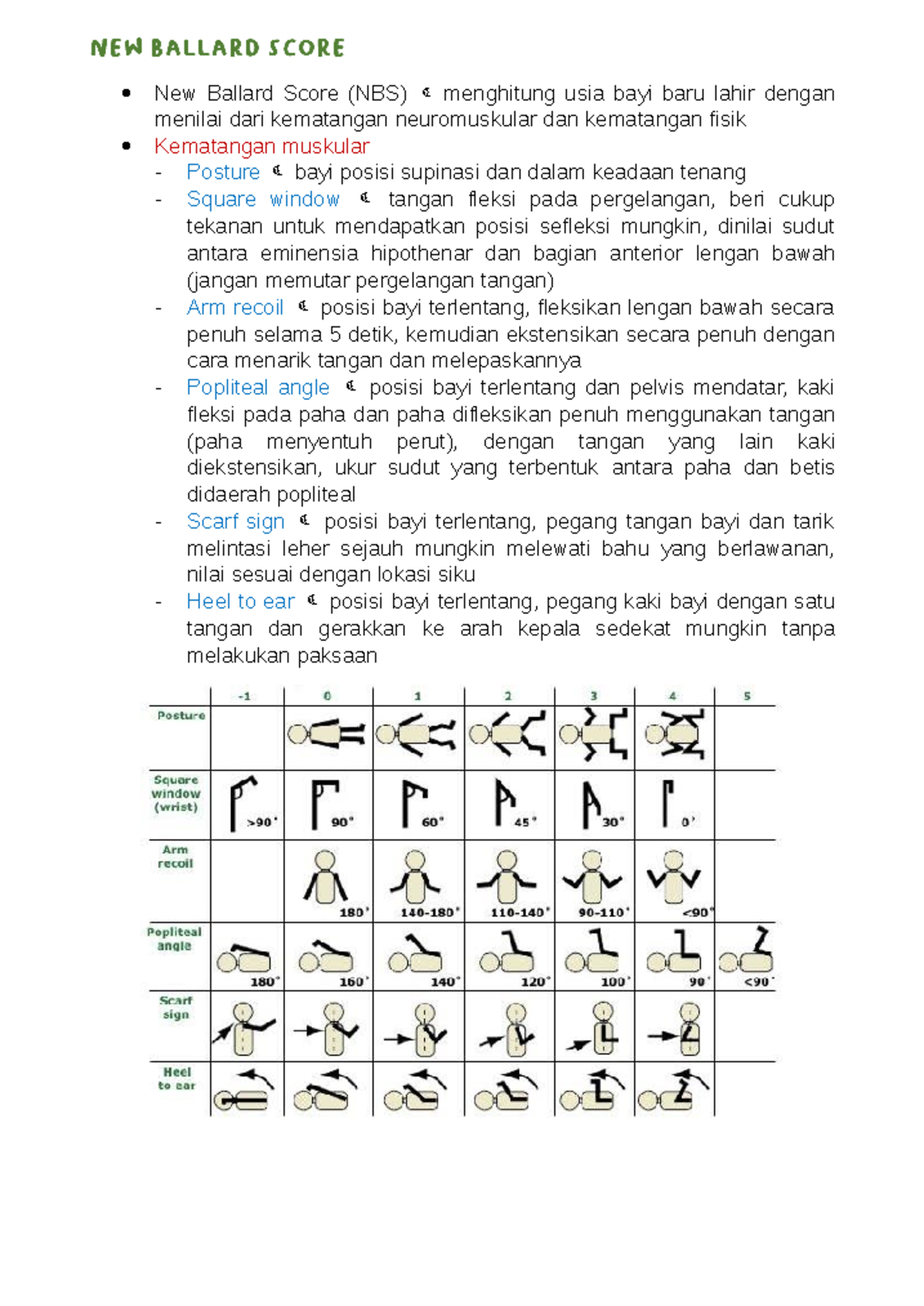 New Ballard Score (NBS): Evaluasi Kematangan Bayi Baru Lahir - Document Preview