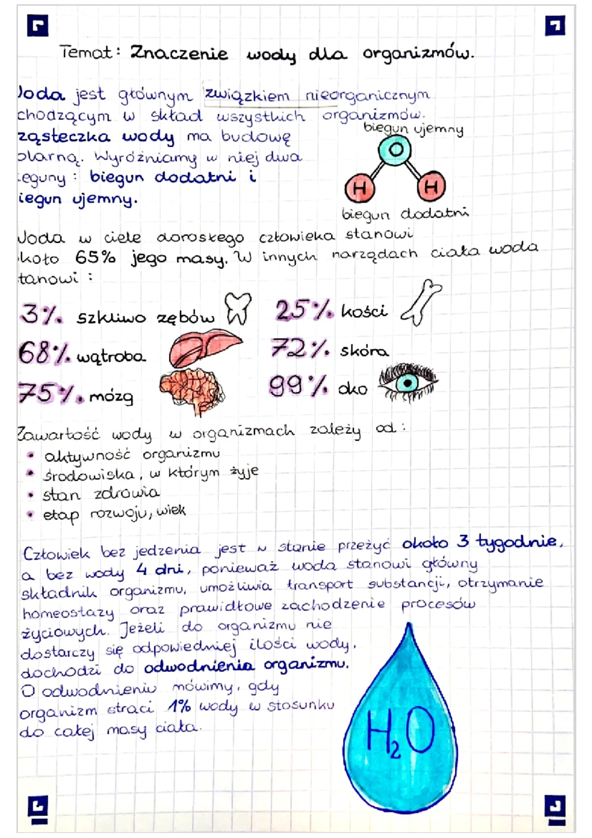 Sprawdzian Narządy Zmysłów Klasa 7 www.studocu.com