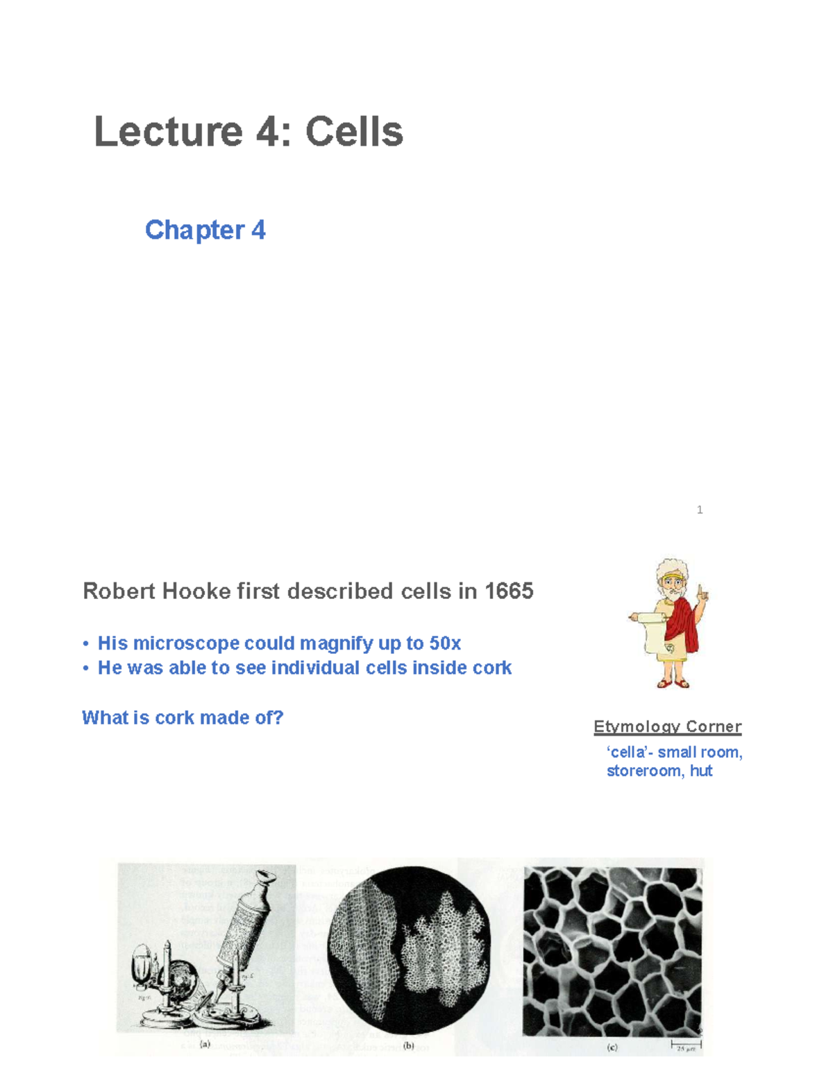 Lecture Notes on Eukaryotic Cell Structure: BIOL101 - Studocu