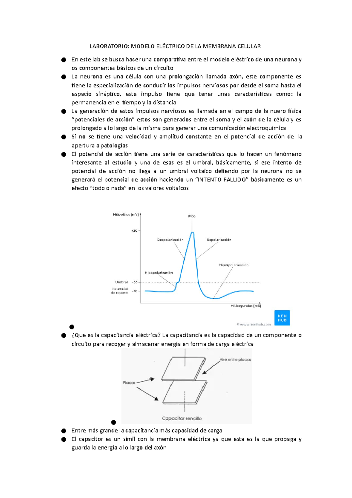 Modelo Eléctrico de la Membrana Celular: Laboratorio de Neurofísica