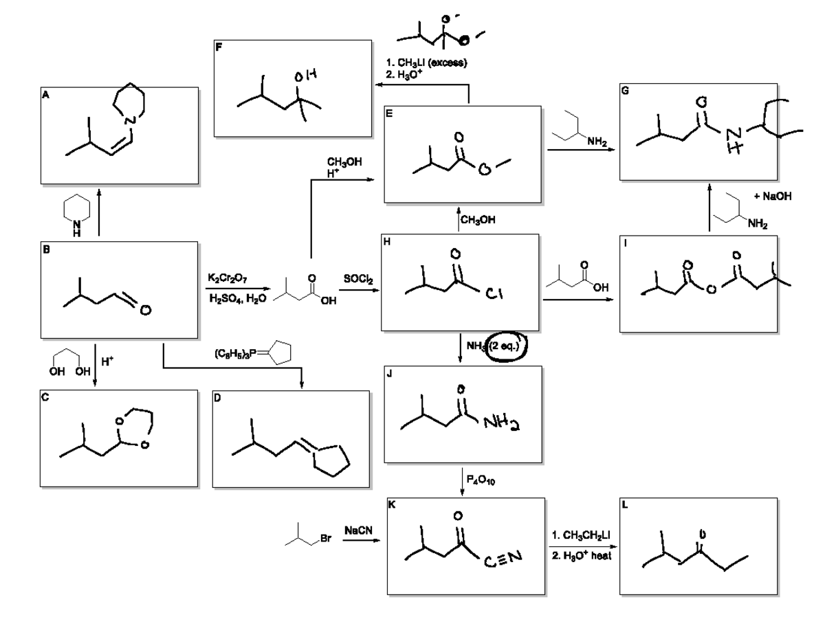 Spring 2025 Exam III: Reaction Pathways Overview - Studocu