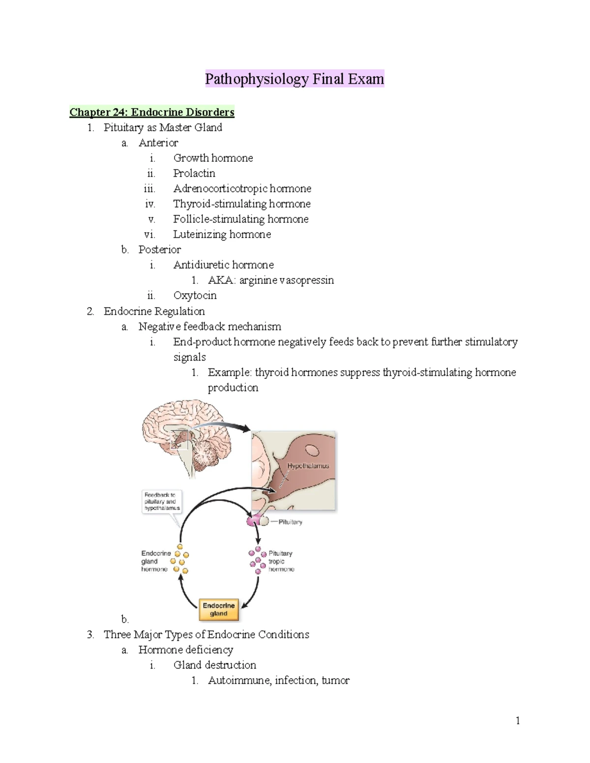 Exam 1 Overview: Pathophysiology Key Concepts and Terms - Studocu