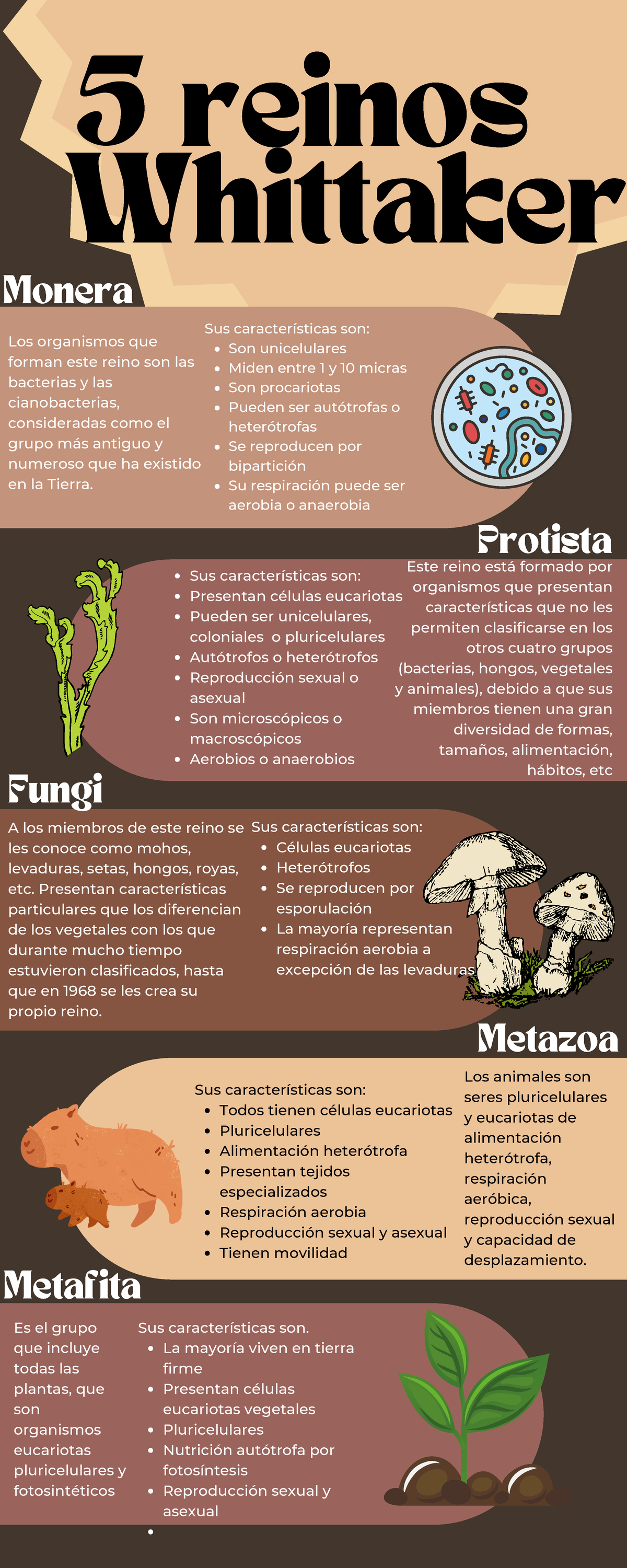 5 Reinos de Whittaker: Monera, Protista, Fungi, Metafita, Metazoa - Studocu