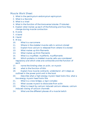 Comprehensive Guide to Skeletal Muscle Structure & Function (BIO 101 ...