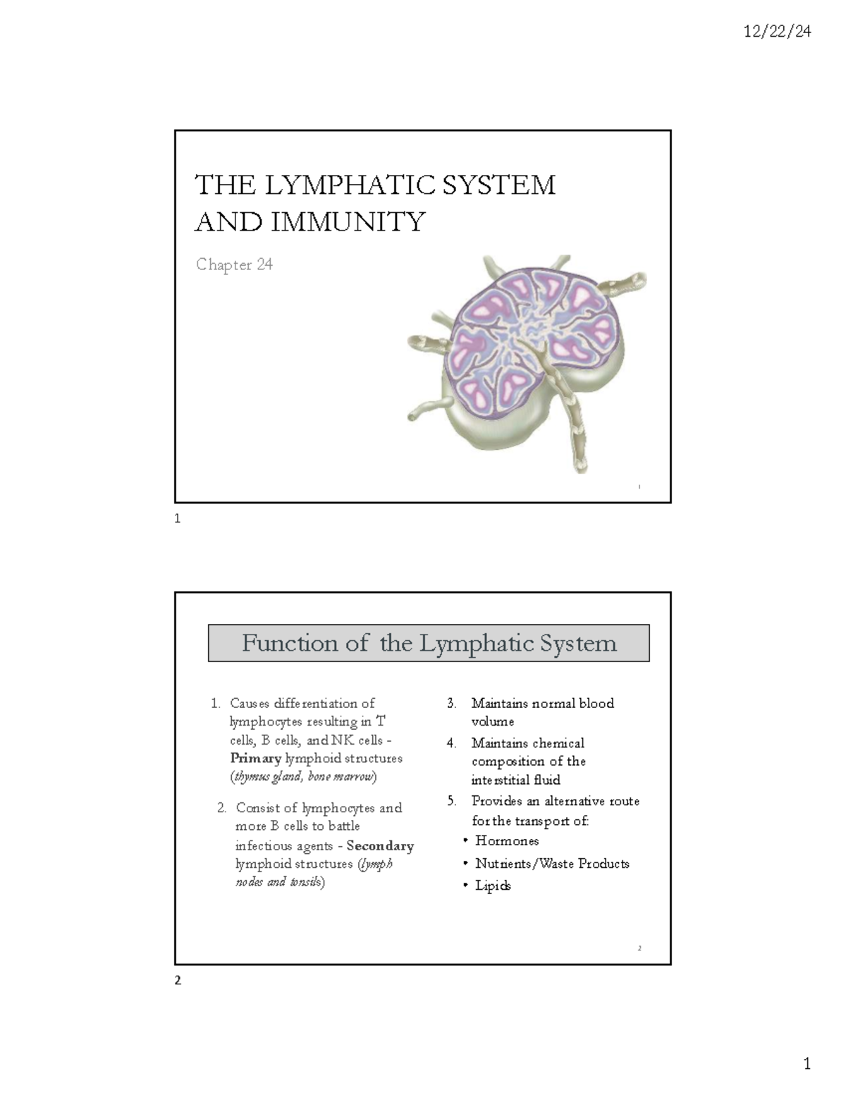 Ch. 24: The Lymphatic System and Immunity - Key Concepts and Functions ...