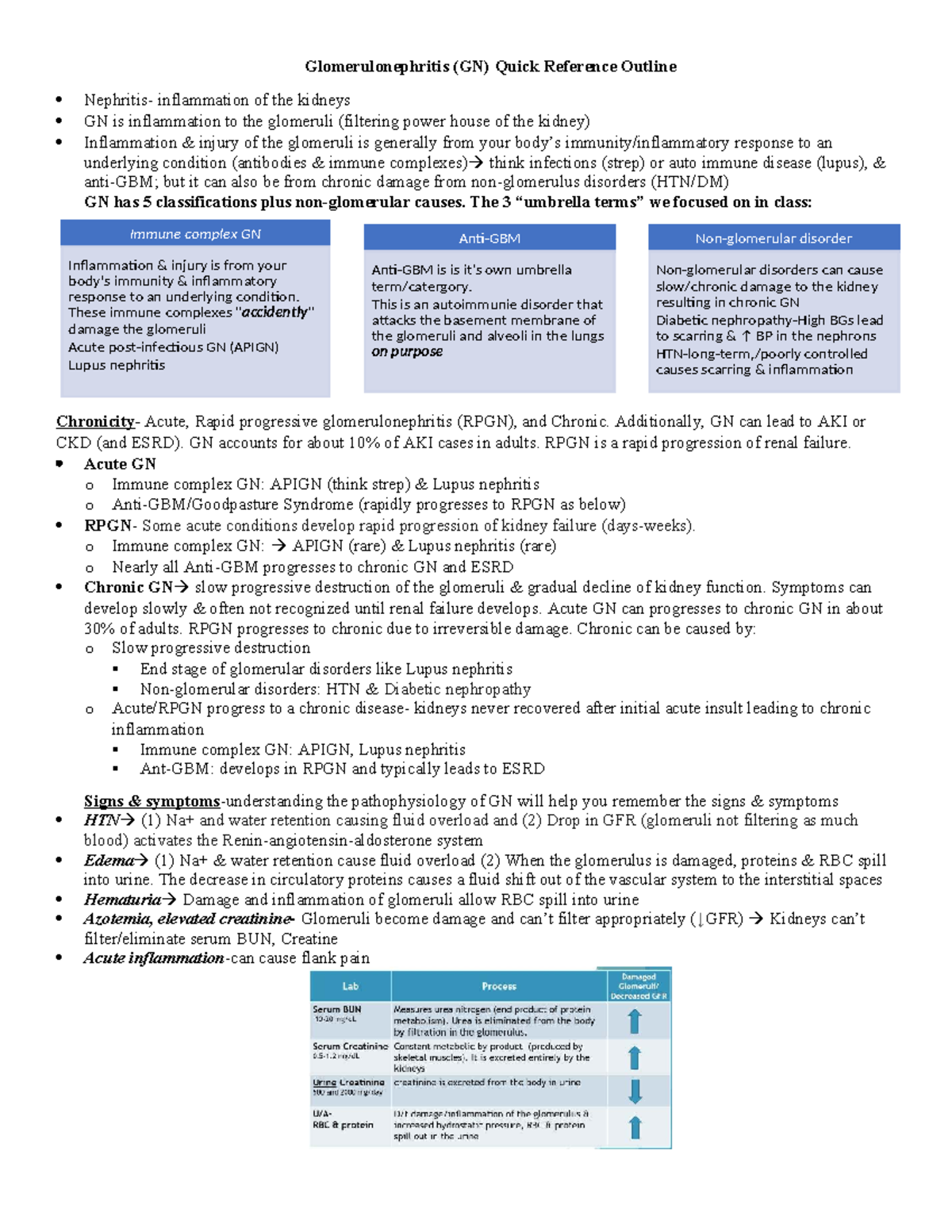 GN Handout - Study Guide: Understanding Glomerulonephritis - Studocu