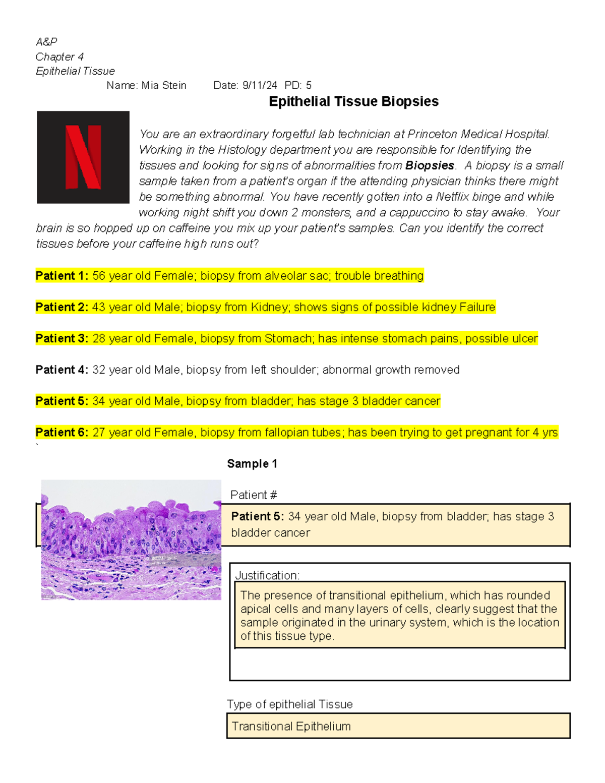 A&P Chapter 4: Epithelial Tissue Biopsy Case Study Analysis - Studocu