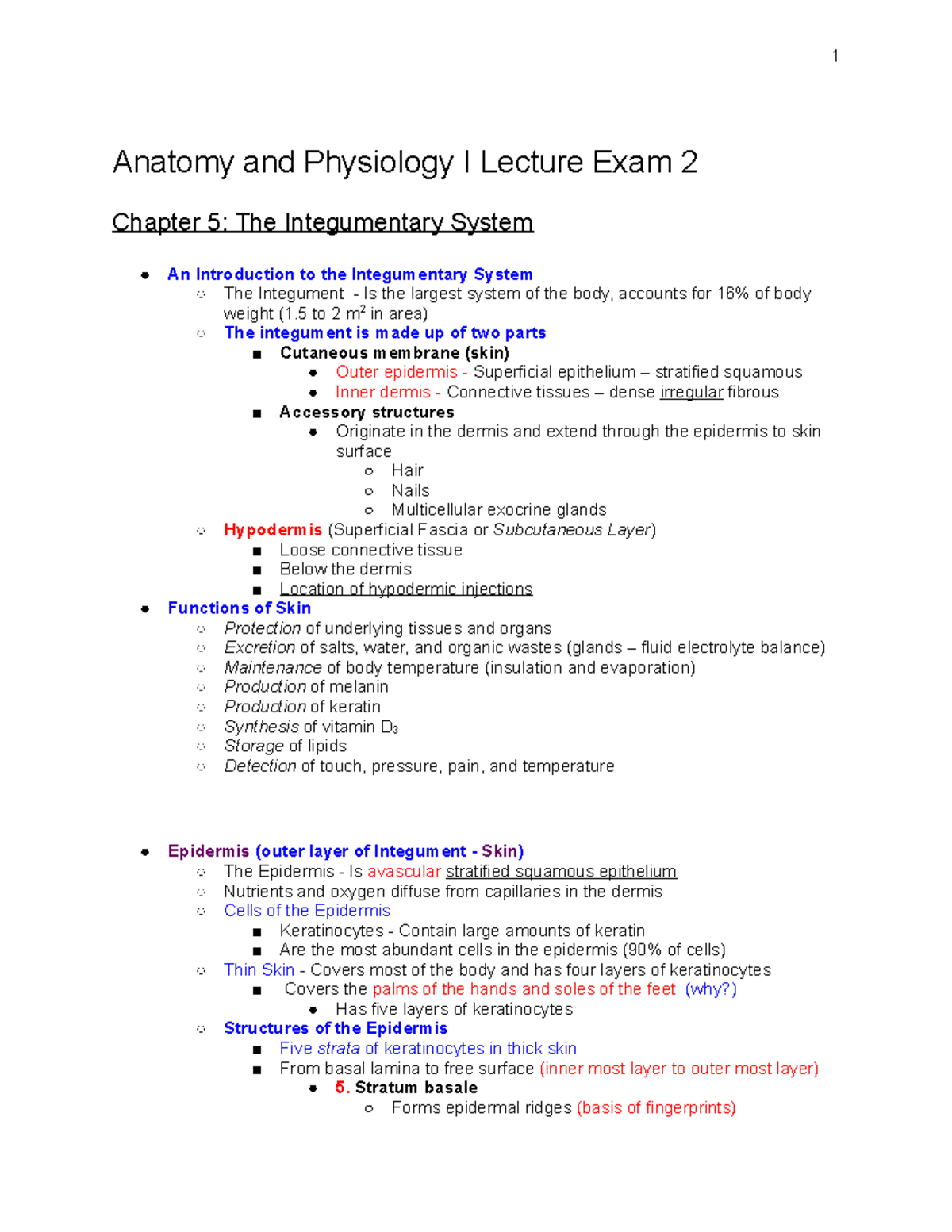 Anatomy & Physiology I Lecture Exam 2: The Integumentary System ...