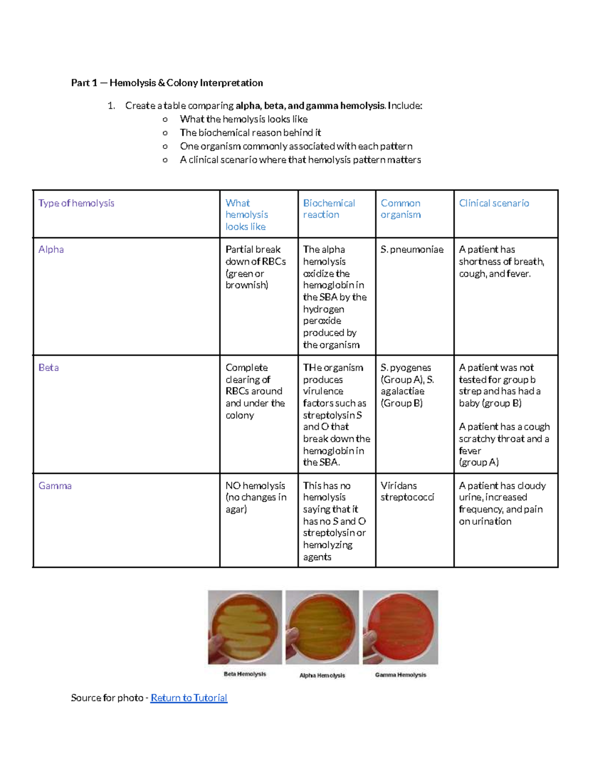 Lecture Notes on Hemolysis & Key Identification Tests - Studocu